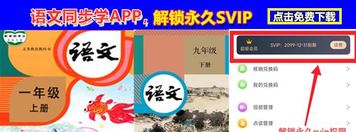轮播7